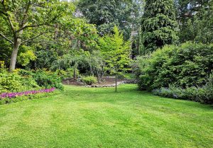 Optimiser l'expérience du jardin à Vieux-Manoir