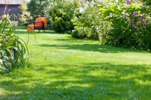 travaux jardin et paysage Vieux-Manoir